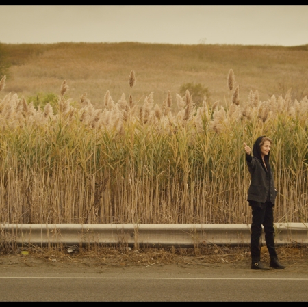 Agnieszka Kurant, "Cutaways", 2013, film, 24 min, collaboration: Walter Murch, Will Holder, John Menick, Manuel Cirauqui, Stefan Węglowski, cinematography: Michael Simmonds, courtesy of Tanya Bonakdar Gallery, New York / Los Angeles