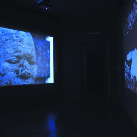 exhibition view with films displayed on the walls 