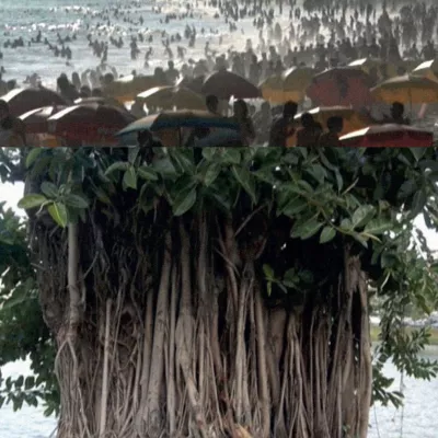 Assemblages. Angela Melitopoulos and Maurizio Lazzarato