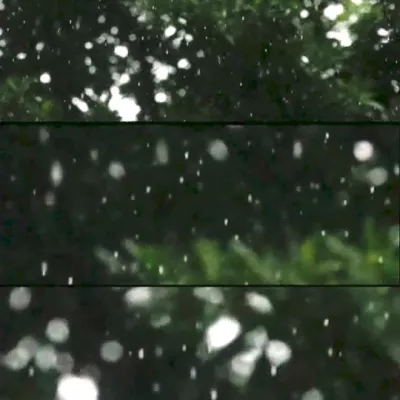 lop rain 2_300dpi
