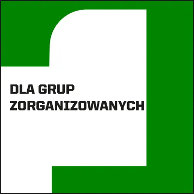 Grafika z czarnym napisem „DLA GRUP ZORGANIZOWAYCH” (z literówką w napisie) na białym tle, z zielonym elementem graficznym w tle.