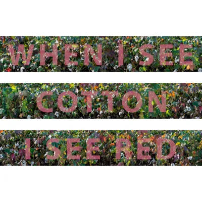 The image consists of three horizontal strips depicting a cotton field, separated by white gaps. Overlaid on each strip against the backdrop of the plants is large, red, semi-transparent text in English, which together form the sentence: “WHEN I SEE COTTON I SEE RED”